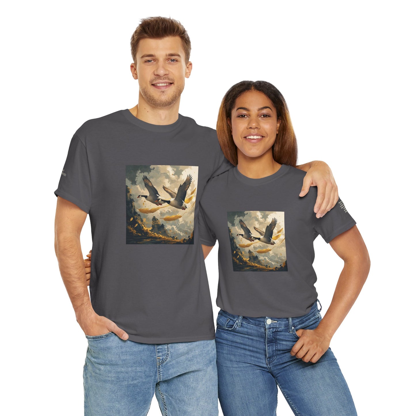 I Ching, T-shirt con gli esagrammi, Lo Sviluppo (Progresso graduale)