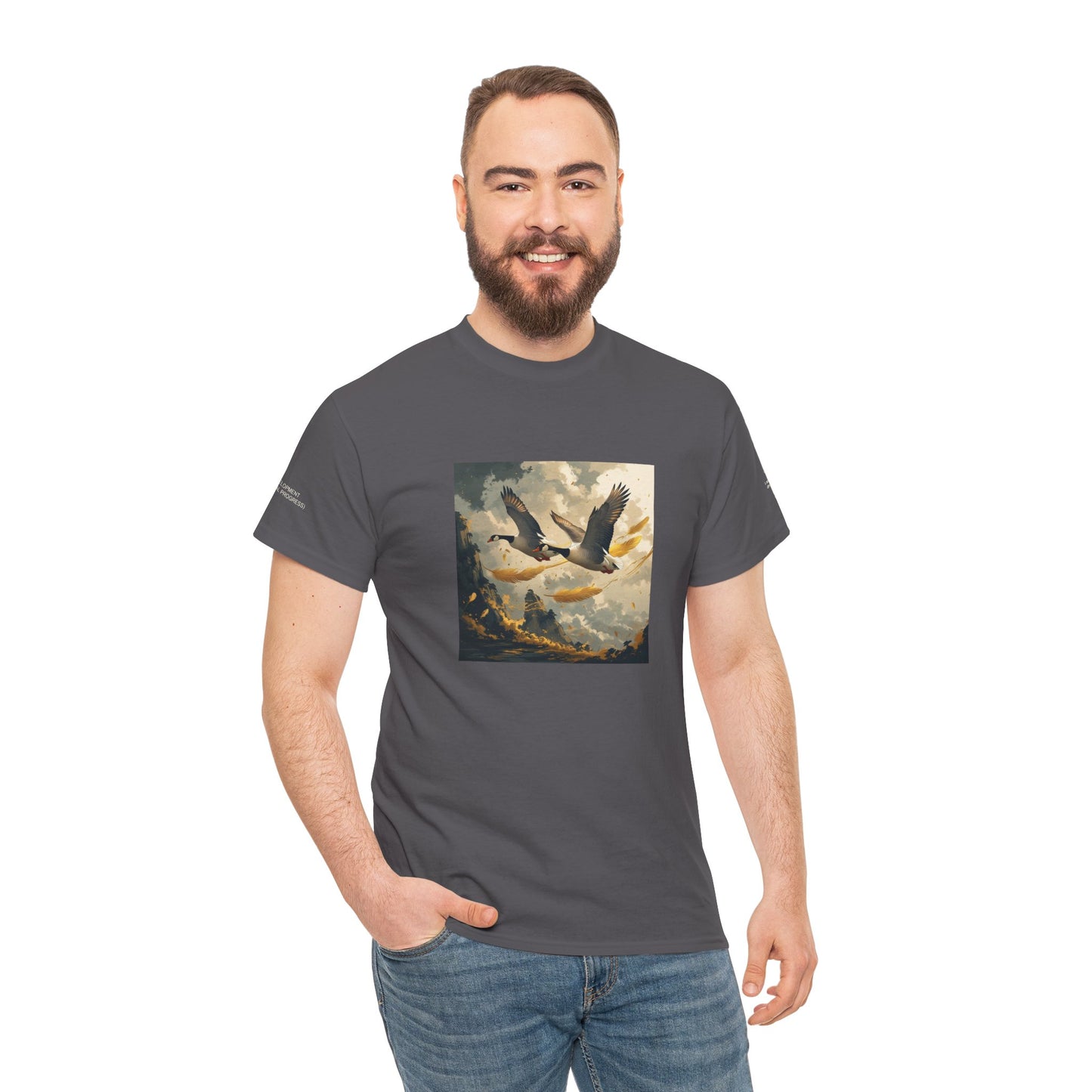 I Ching, T-shirt con gli esagrammi, Lo Sviluppo (Progresso graduale)