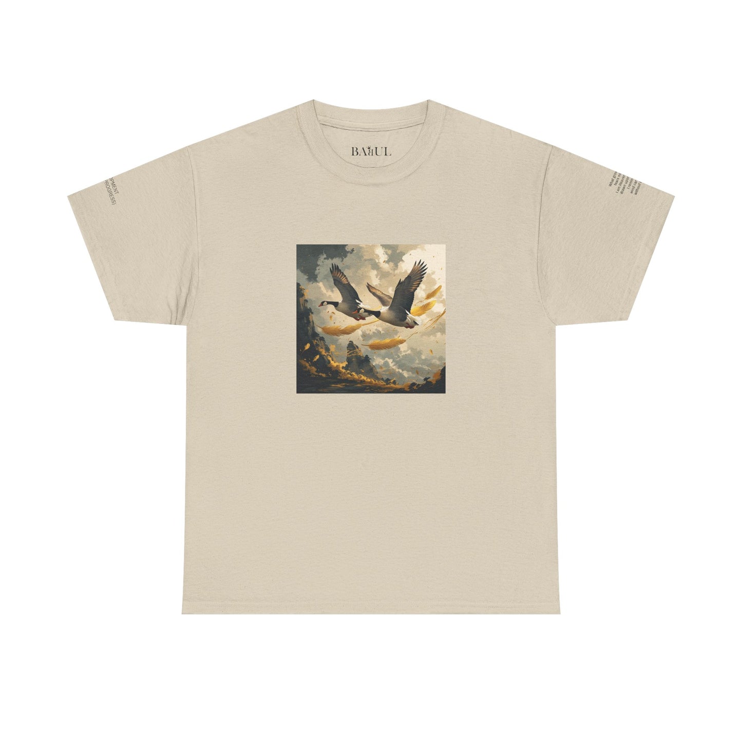 I Ching, T-shirt con gli esagrammi, Lo Sviluppo (Progresso graduale)