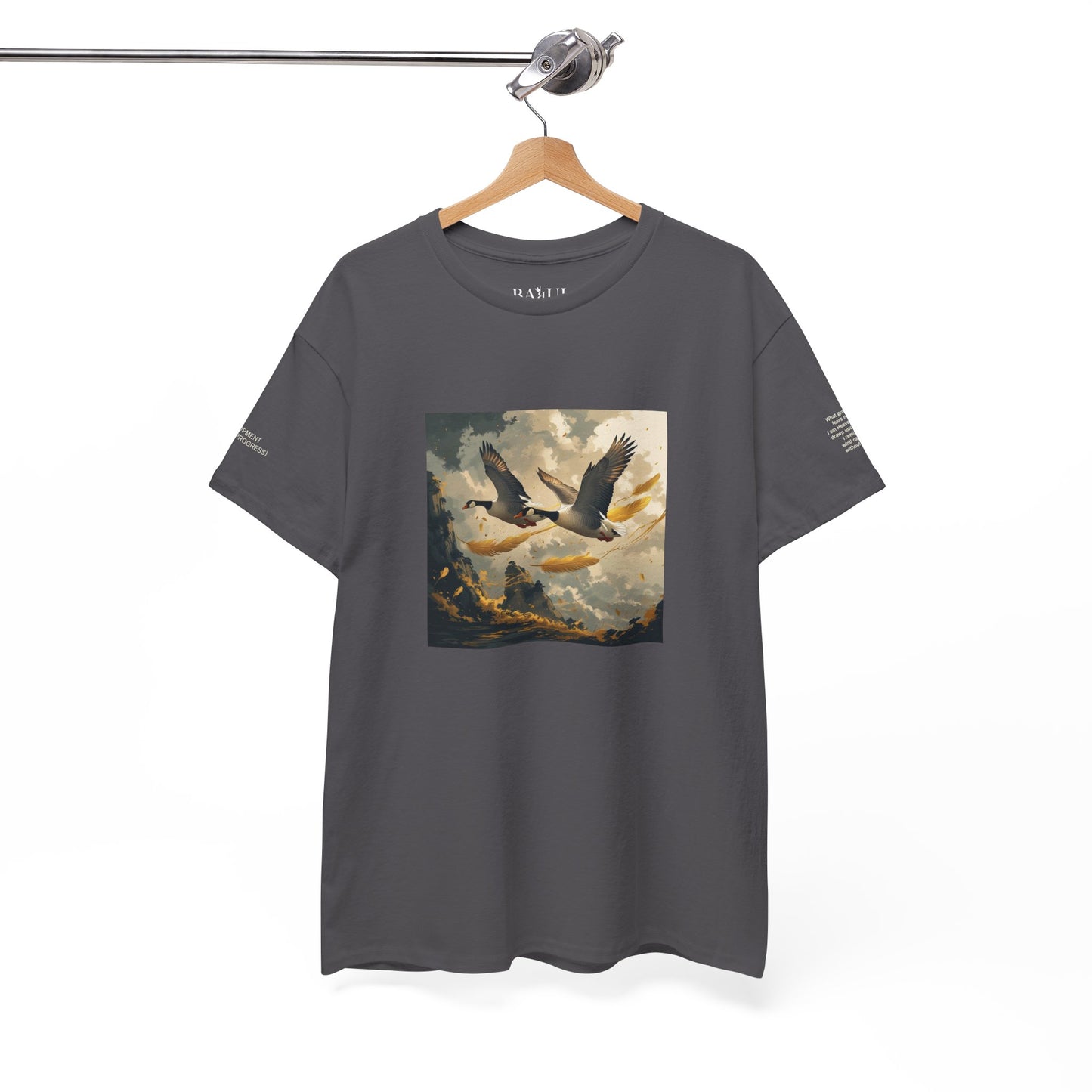 I Ching, T-shirt con gli esagrammi, Lo Sviluppo (Progresso graduale)