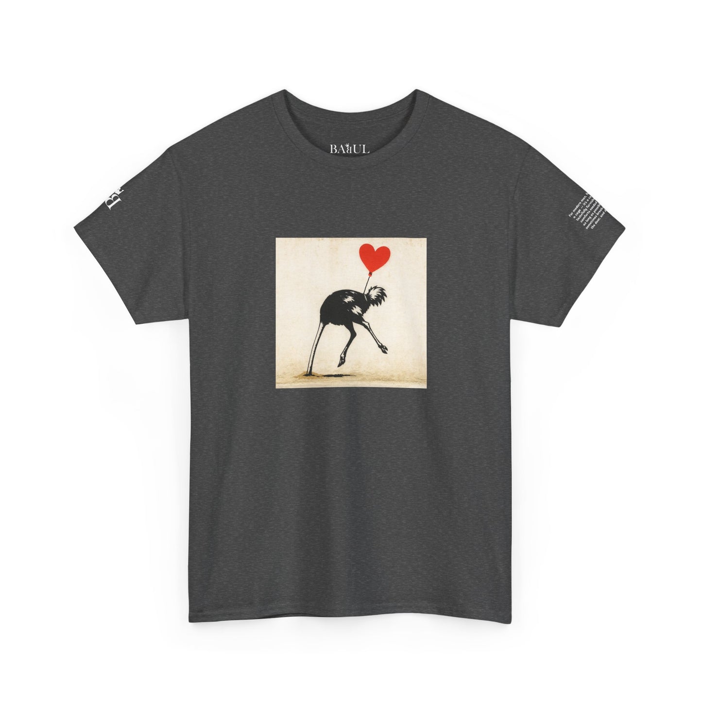 T-shirt Ribelle – Maglietta Unisex in Cotone Pesante per Spiriti Liberi.