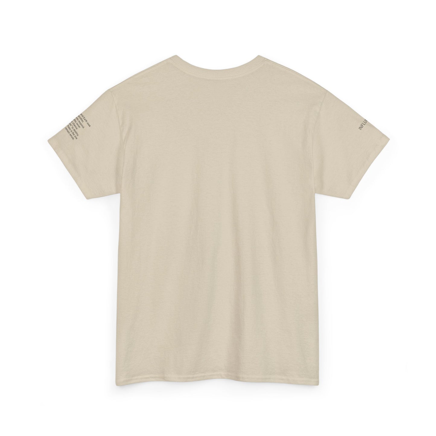 I Ching, T-Shirt degli Esagrammi, La Stimolazione