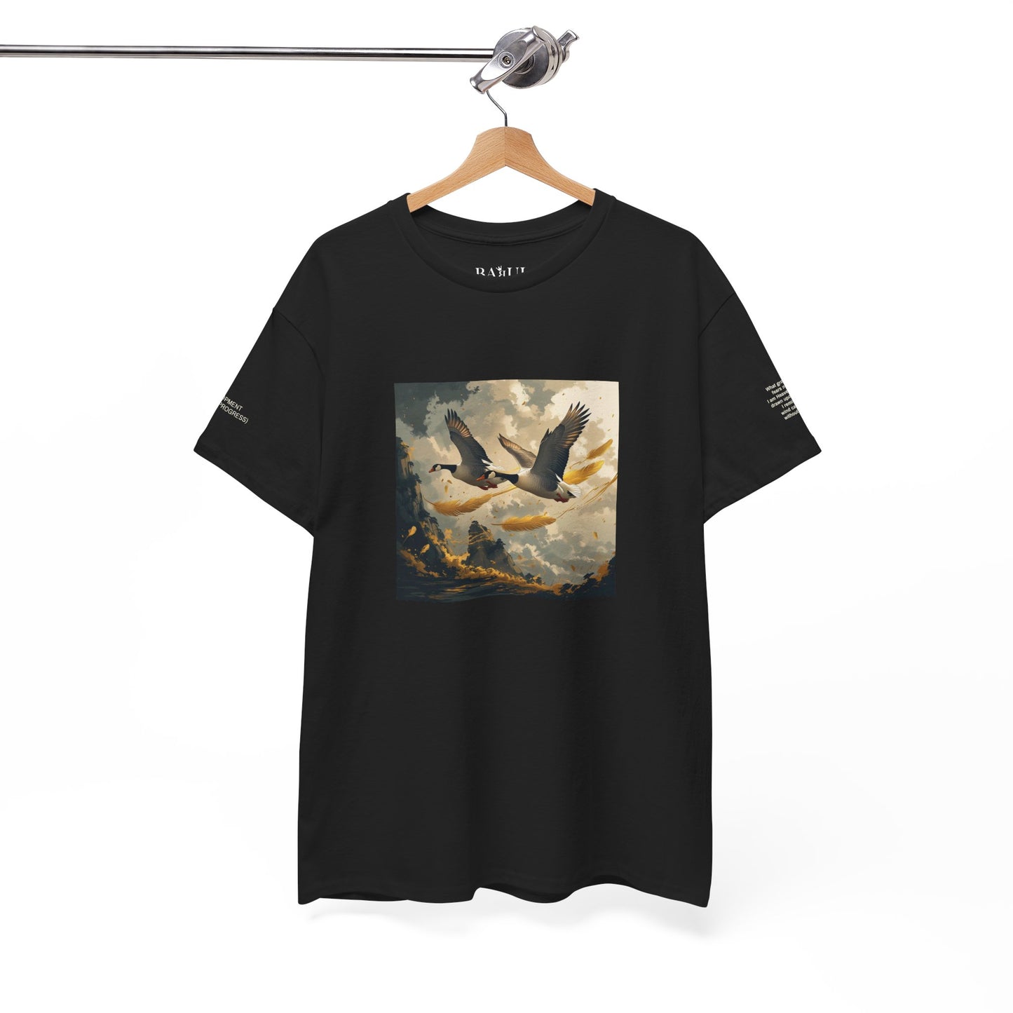 I Ching, T-shirt con gli esagrammi, Lo Sviluppo (Progresso graduale)