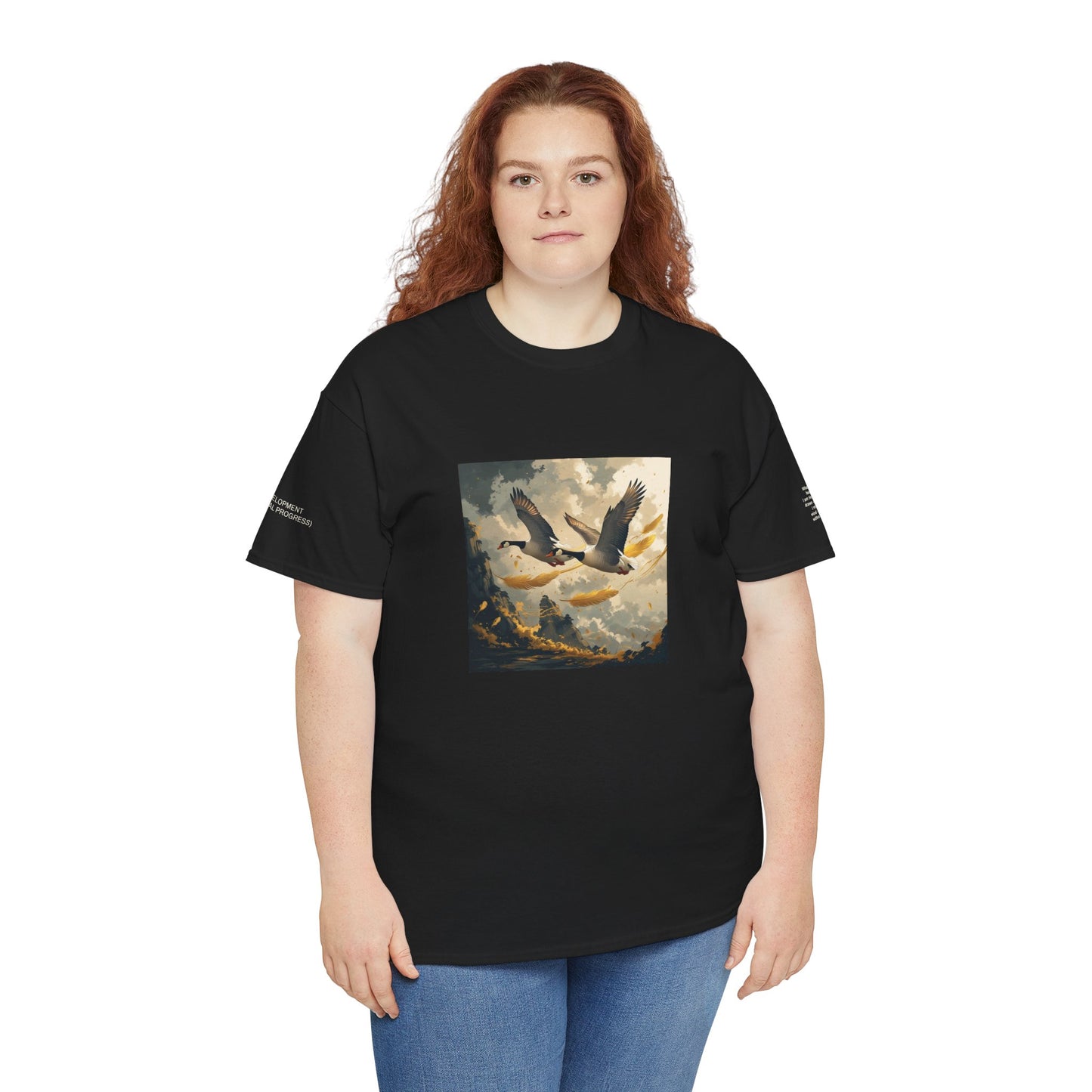 I Ching, T-shirt con gli esagrammi, Lo Sviluppo (Progresso graduale)