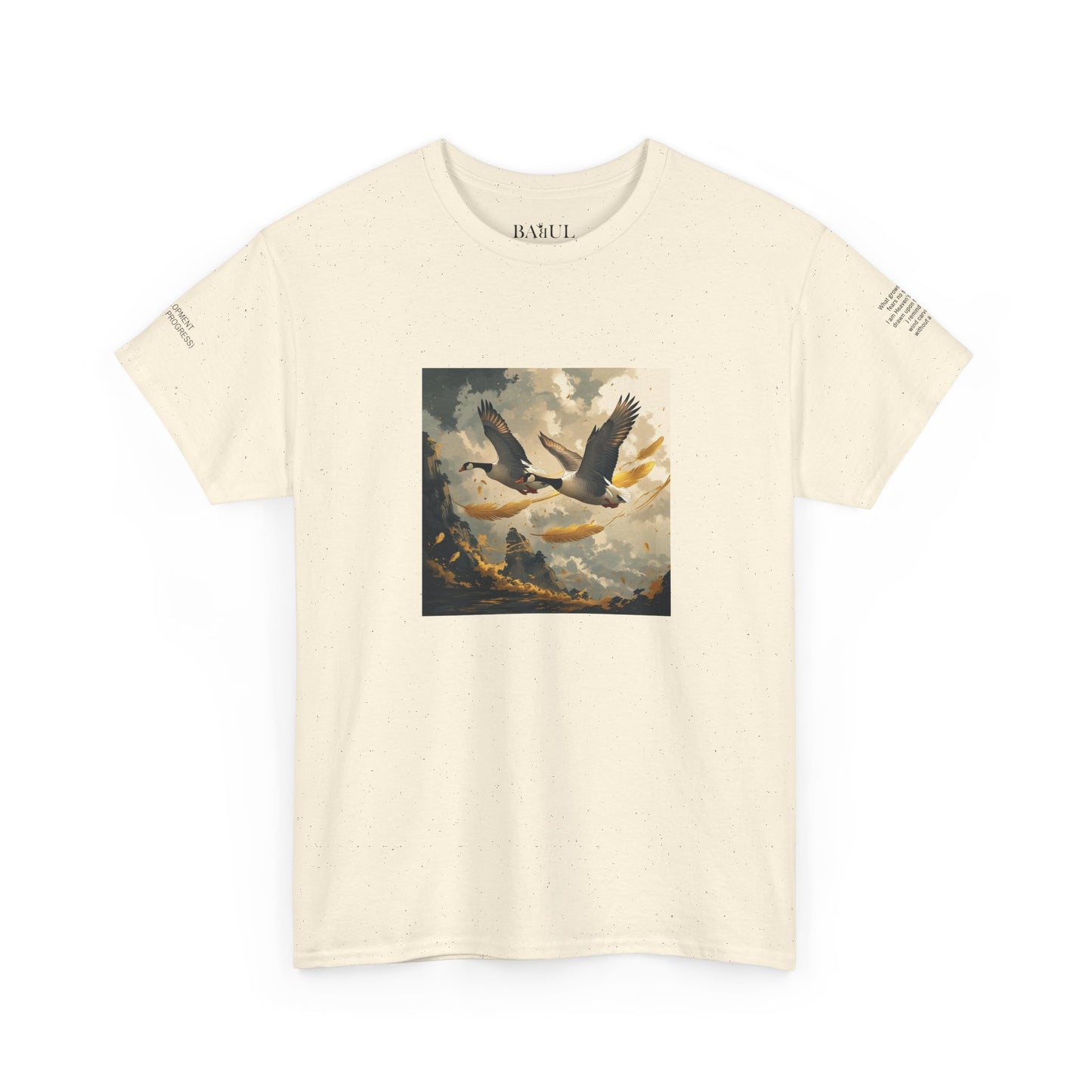 I Ching, T-shirt con gli esagrammi, Lo Sviluppo (Progresso graduale)