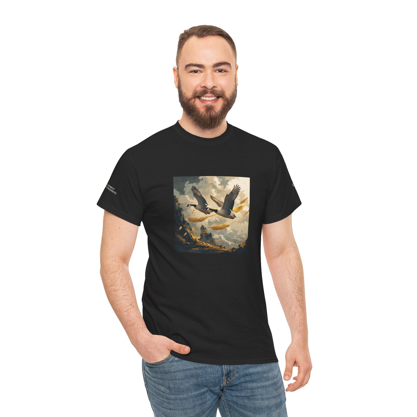 I Ching, T-shirt con gli esagrammi, Lo Sviluppo (Progresso graduale)
