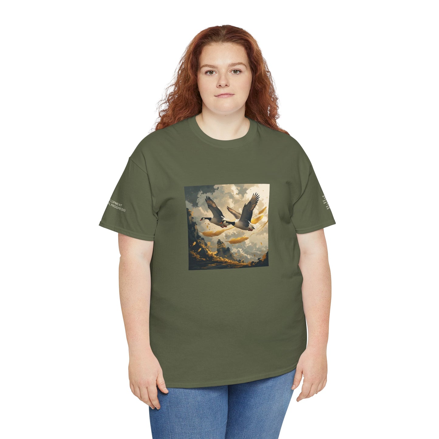 I Ching, T-shirt con gli esagrammi, Lo Sviluppo (Progresso graduale)