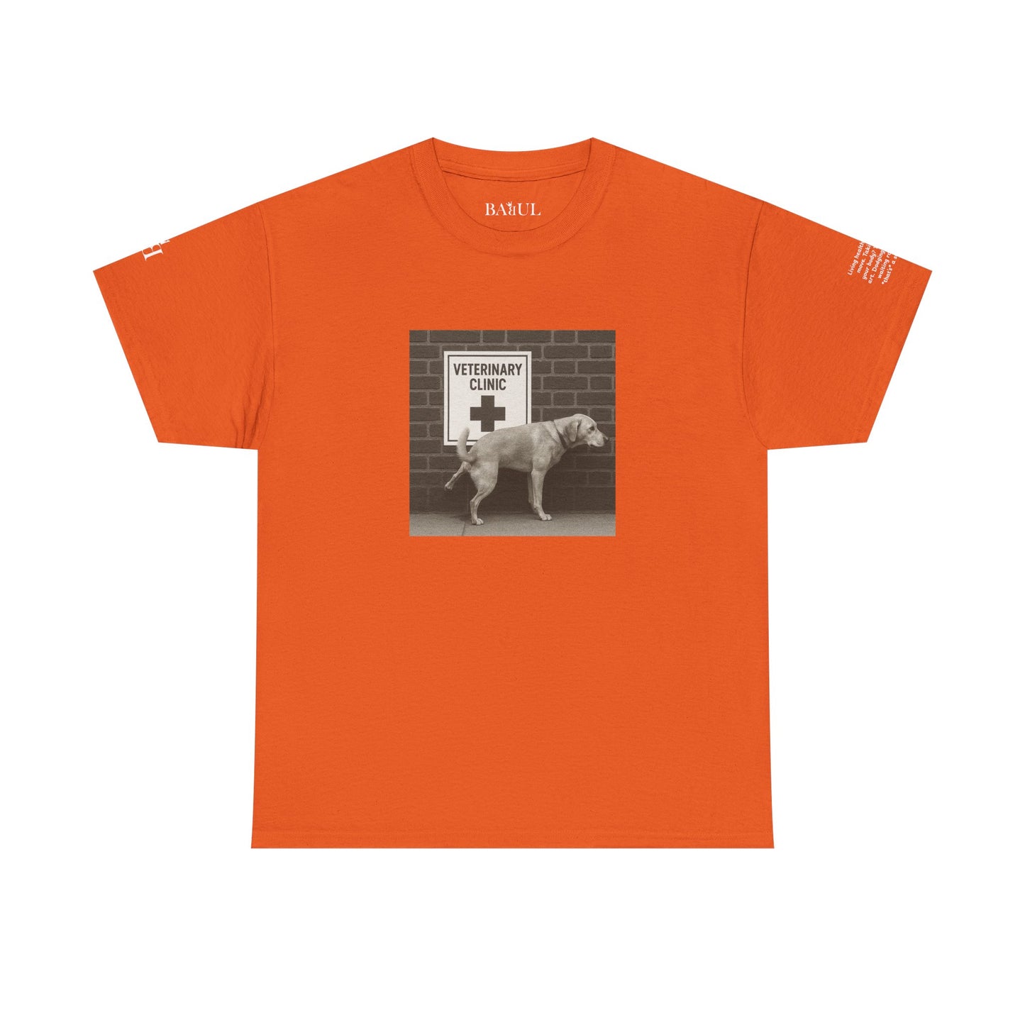 T-shirt Ribelle – Maglietta Unisex in Cotone Pesante per Spiriti Liberi.