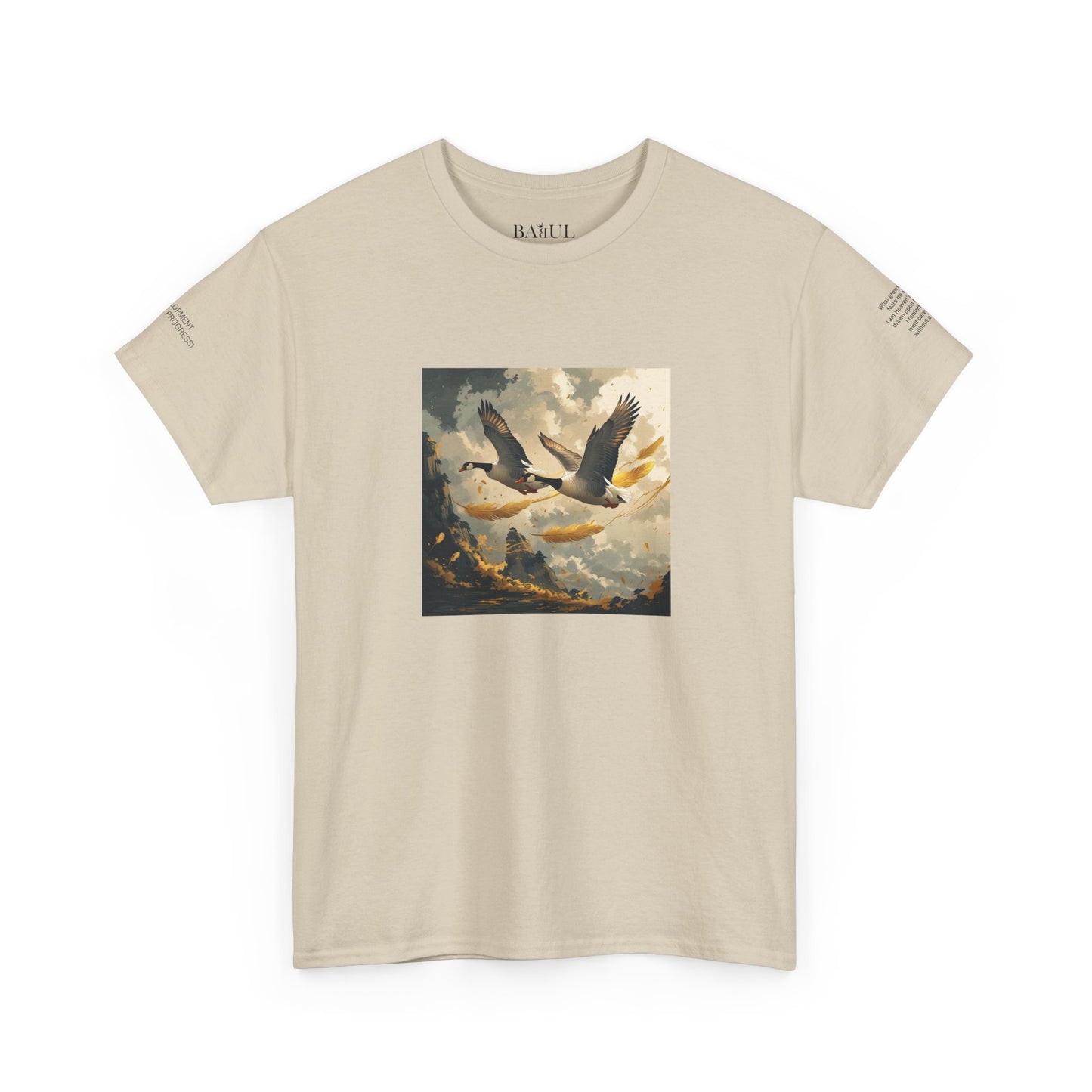 I Ching, T-shirt con gli esagrammi, Lo Sviluppo (Progresso graduale)
