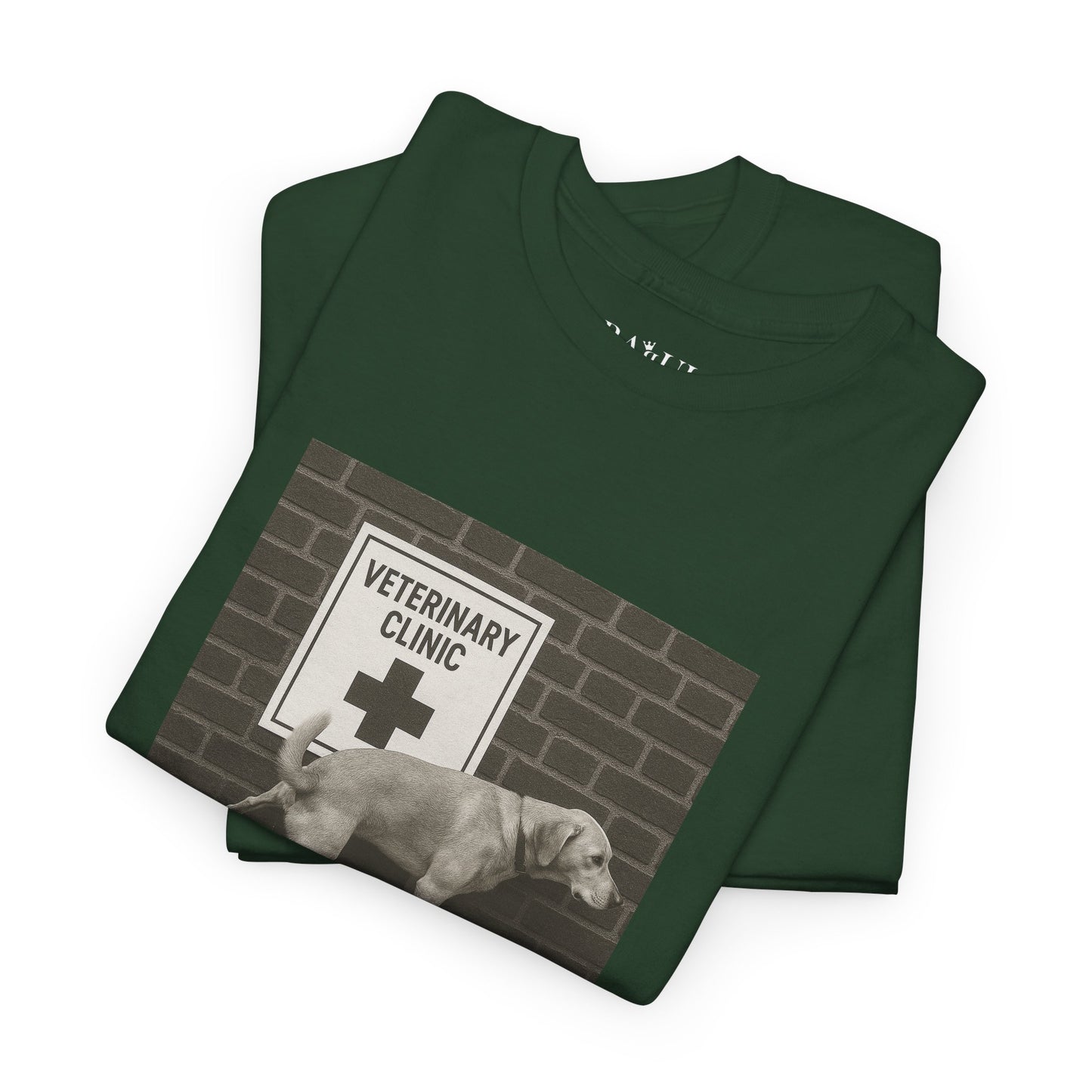 T-shirt Ribelle – Maglietta Unisex in Cotone Pesante per Spiriti Liberi.